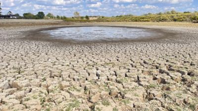 dried up pond