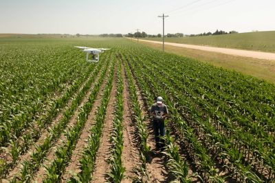 Corn-After-Corn Management