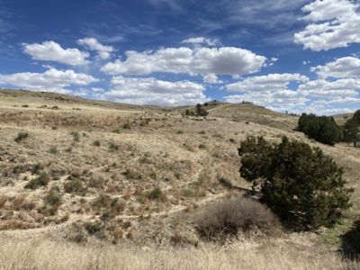 Western Nebraska pasture drought