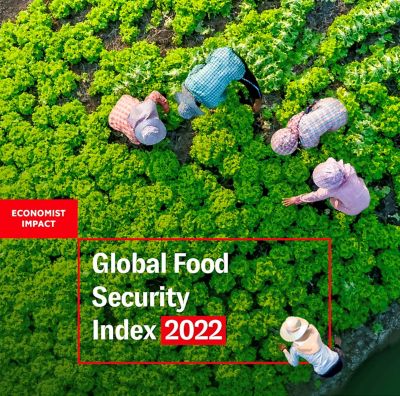The front cover of Economist Impact’s Global Food Security Index report 2022, with an image of workers tending to crops taken from above.