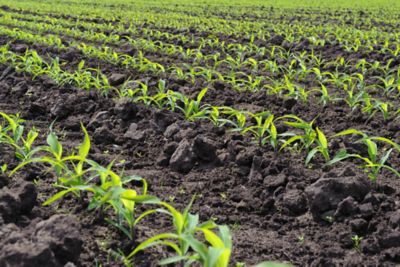 Find the Right Product for Every Acre