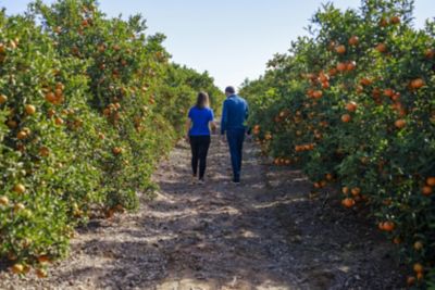 Man kneeling in field