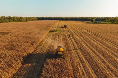 Cambio climático, meteorología y agricultura sostenible