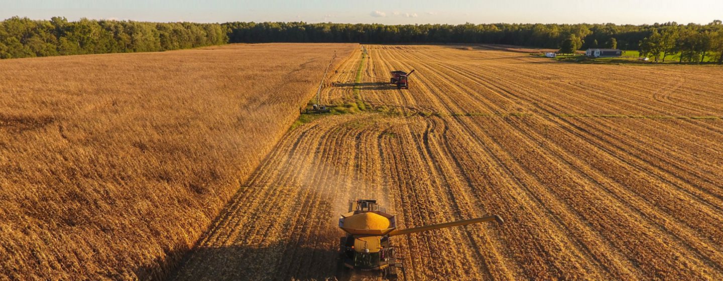 Cambio climático, meteorología y agricultura sostenible