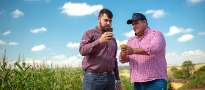 Agricultor e Representante Comercial Brevant® Sementes analisam a qualidade do milho colhido. 