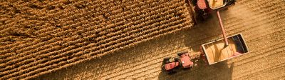 aerial view of fall corn harvest