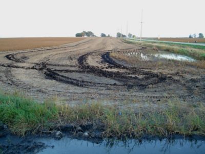 Fall Flooding Damage to Soybeans