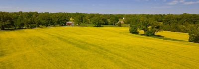 Spring and Winter Canola Seeding Rates