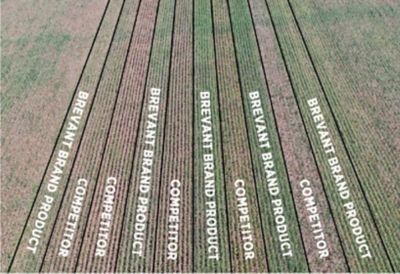 Side by side field comparisons