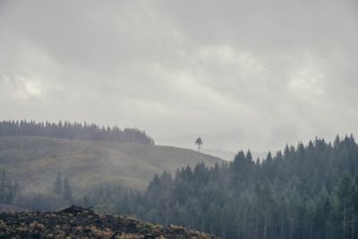 firebreak on mountainside