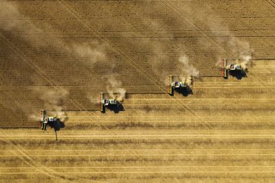 five combines harvesting wheat