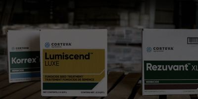 Lumiscend LUXE, Korrex and Rezuvant XL boxes