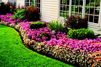 Clean lawn with shrubs
