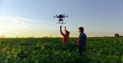 flying drone in a soybean field