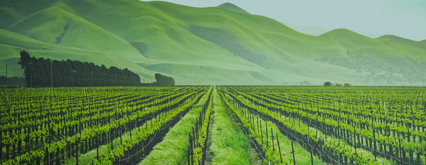 Podcast Episodio 6 fondo