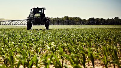 Sprayer in early emerging corn