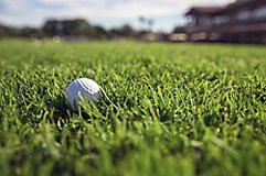 Image of golf ball in golf course rough