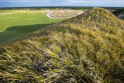Golf course long grass rough