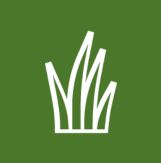Grass icon