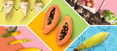 Five images of the best blogs from Plate-Wise. Blogs cover GMO topics, healthy eating and home gardening.