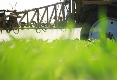 Ground level view of sprayer in corn