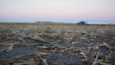 Ground view of corn shucks with semi truck on horizon
