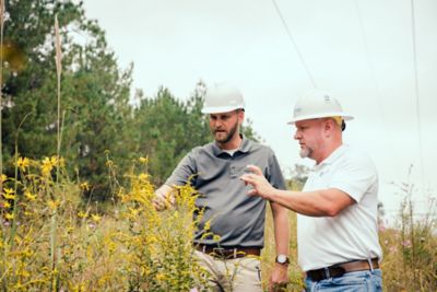 Managing vegetation for habitat enhancement