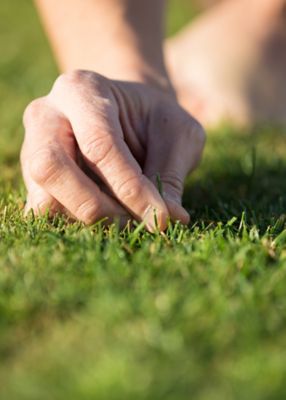 Hand touching grass