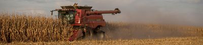 Photo - harvesting corn - red harvester