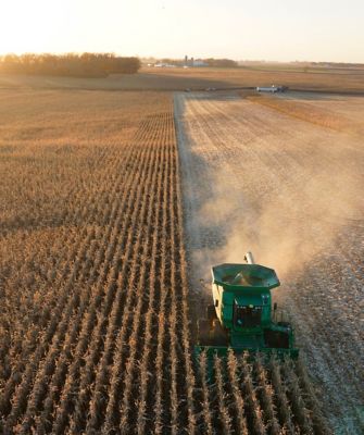 Managing for Maximum Market Value