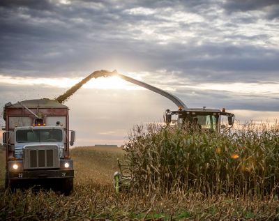 Brown Midrib (BMR) Products