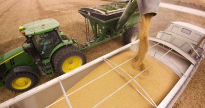 Increasing Soybean Yields