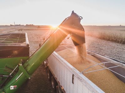 Getting More Bushels