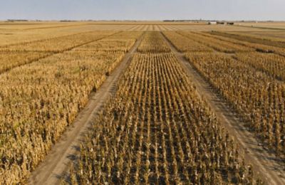 Consistent potential. Consistent confidence.