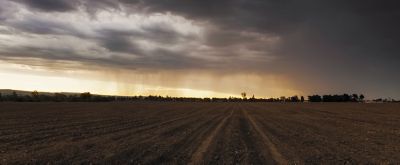 Rain falling in distance of crop field