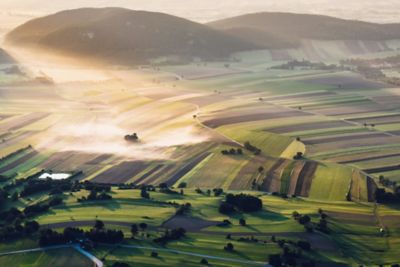 farm fields aerial view at sunrise