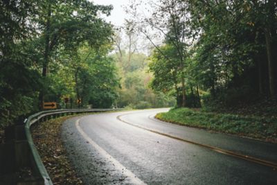 highway through the woods