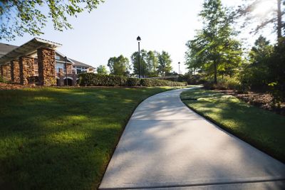 Home lawn beauty shot