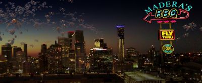Houston skyline with termites