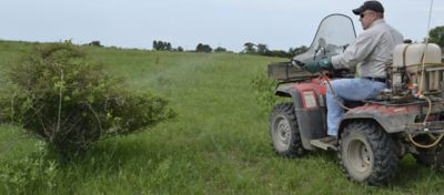 High volume foliar application