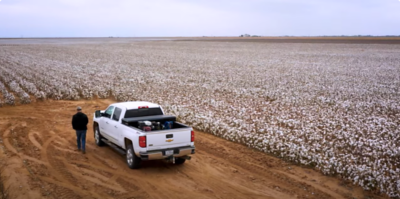 Improving West Texas Cotton Yields