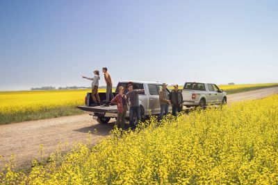 people standing in canola field in a pickup truck