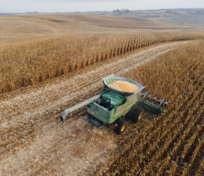 Harvest Yield Results