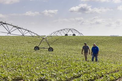 Farmers walking in a field in front of pivot irrigation.