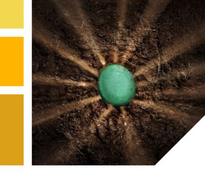 lumivia cpl treated seed