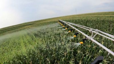 The New Fungicide Timing Module