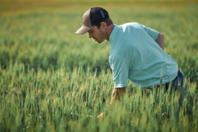 Farmer in wheat field