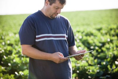 Man with iPad in soybean field