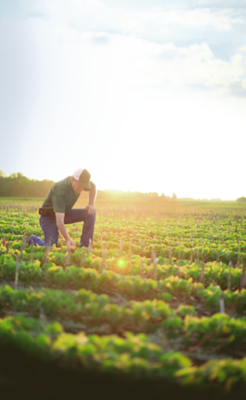 Produkty biologiczne