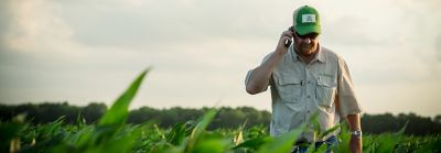 Photo - man on phone walking in cornfield - midseason - cloudy sky